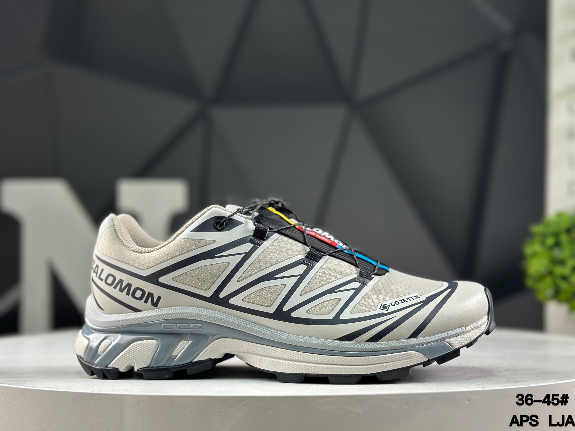Salomon XT-6 GTX Trail Running Shoes 492014